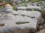 假山石--龟纹石草坪石千层岩