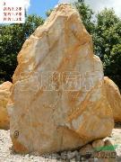 大型黄腊石3号，深圳风景园林石