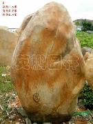 大型黄腊石5号，深圳大型招牌石