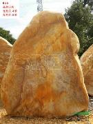 大型黄蜡石B55号，深圳大型特置石