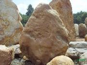 小型黄蜡石，天然黄腊石