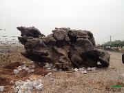 大型太湖石-奇石-景观造型石