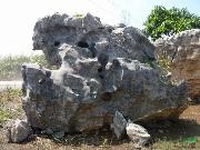 景观太湖石-中型太湖石