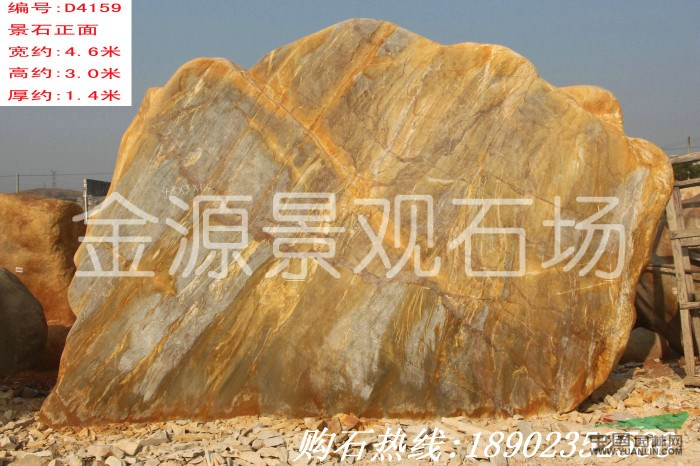 点击查看大图