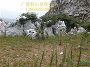 太湖石，鹅卵石，景观石