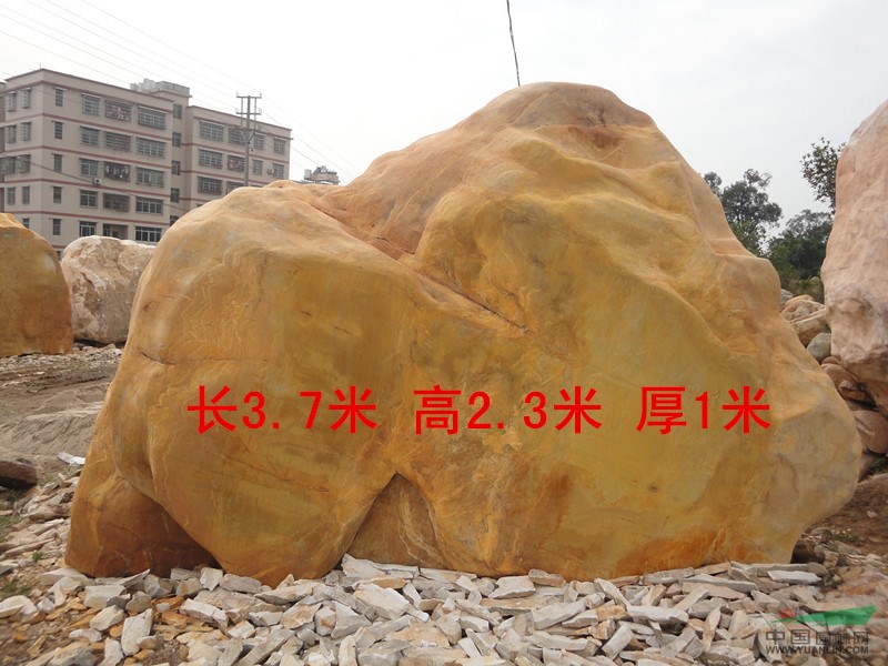 点击查看大图