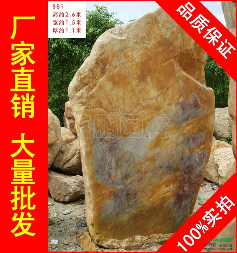 点击查看大图