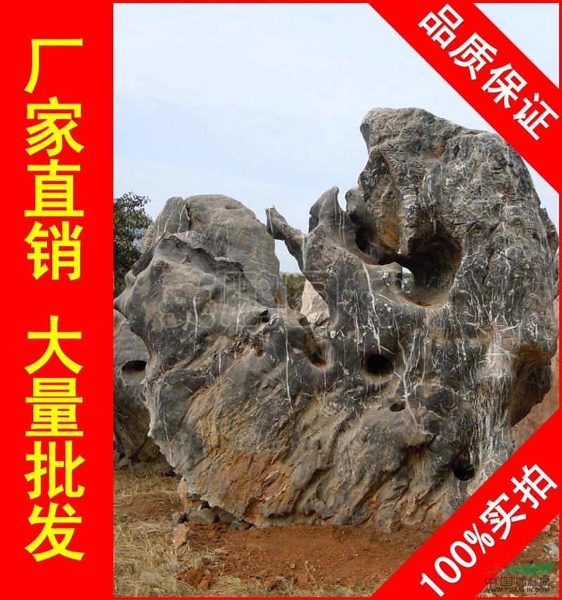 点击查看大图