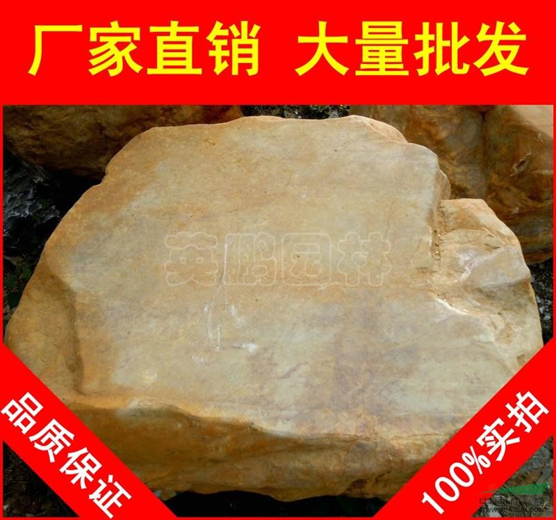 点击查看大图