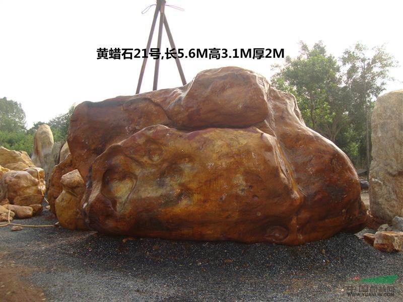 点击查看大图