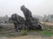 江苏太湖石