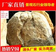 广东大型黄腊石风景石C16