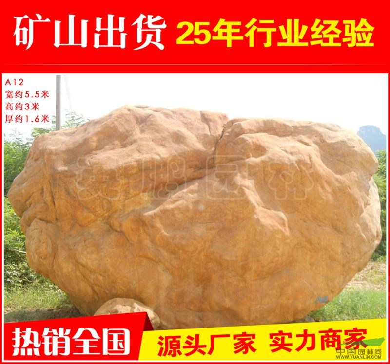 点击查看大图