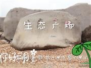 安徽江苏上海生态广场精品水冲河石刻字石