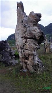 广西太湖石