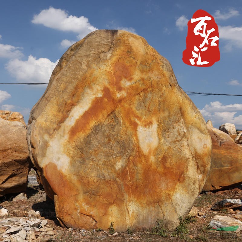 点击查看大图