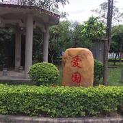 深圳校园大型景观石刻字石 招牌石