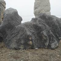 大型景观造型石