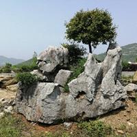 自带原生态植物的广德太湖石